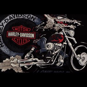 Awesome Oversized Chandler Harley Davidson Shirt.